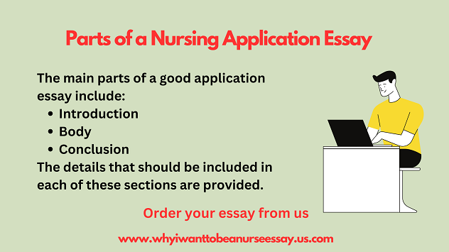 parts of a nursing admission essay 